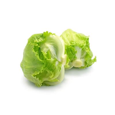 Lettuce - Iceberg